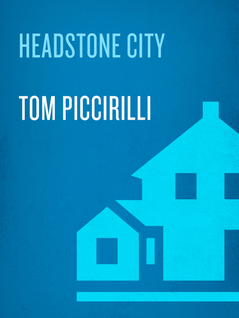 Cover image for book Headstone City