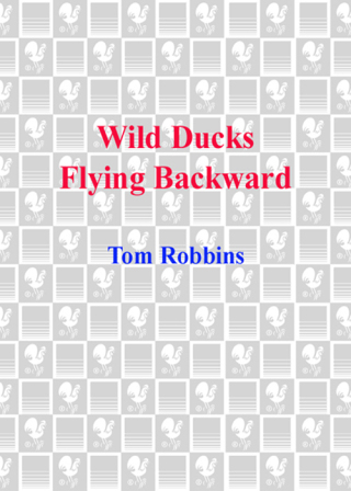 Wild Ducks Flying Backward