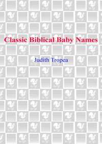 Cover image: Classic Biblical Baby Names 9780553383935