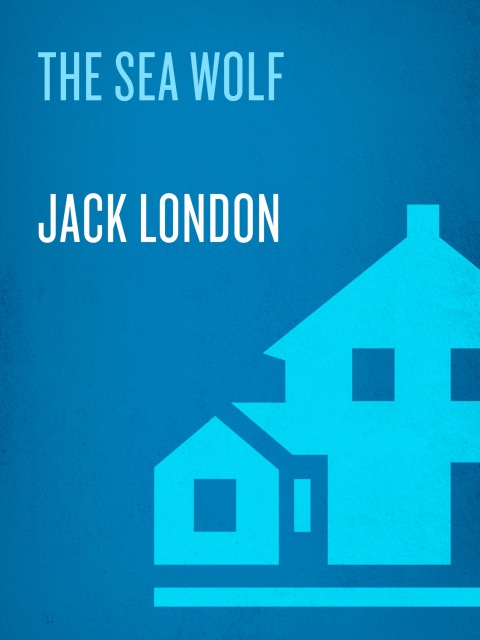 Cover image for book The Sea-Wolf