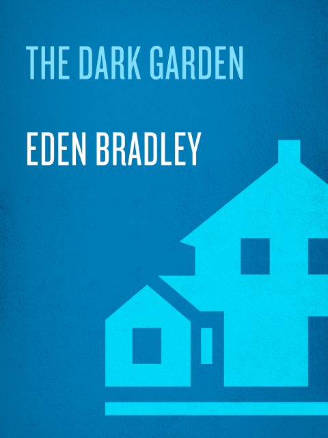 Cover image for book The Dark Garden