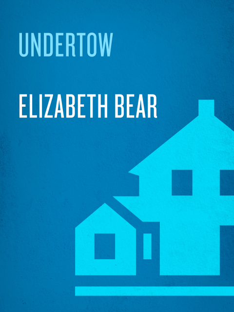 Cover image for book Undertow