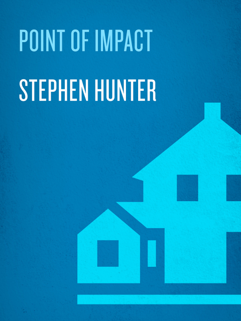 Cover image for book Point of Impact