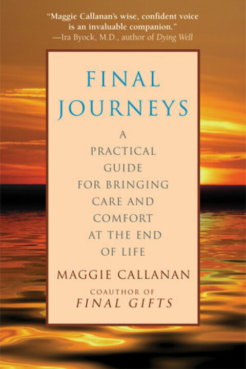 Cover image for book Final Journeys
