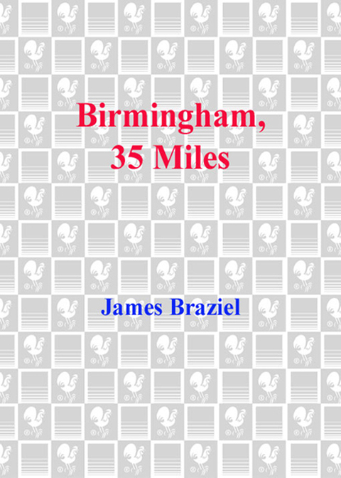 Cover image for book Birmingham, 35 Miles