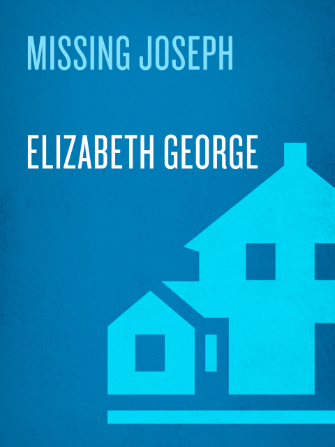 Cover image for book Missing Joseph
