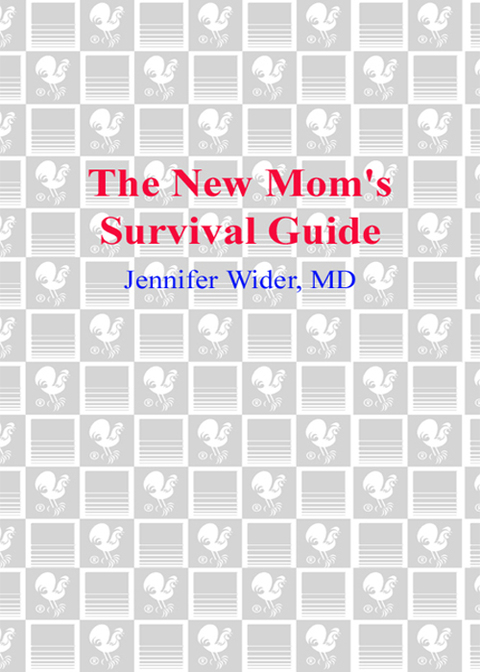 Cover image for book The New Mom's Survival Guide