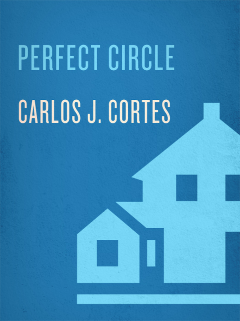 Cover image for book Perfect Circle