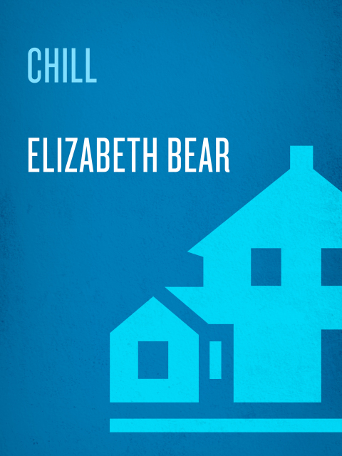 Cover image for book Chill