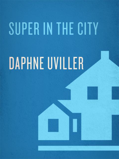 Cover image for book Super in the City