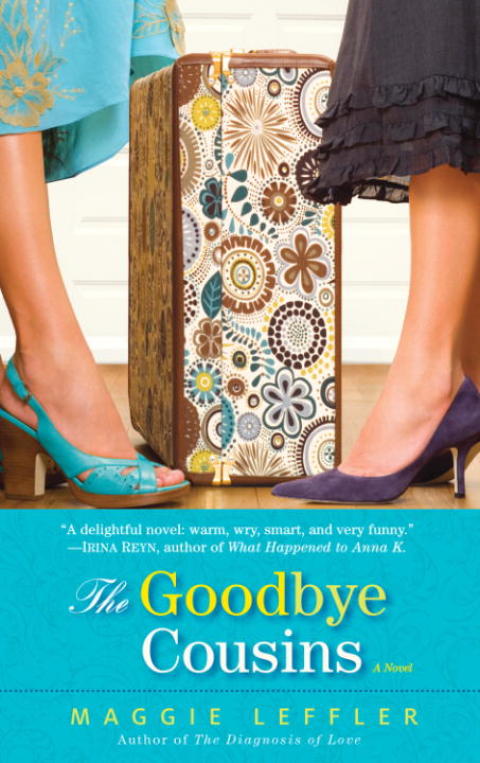 Cover image for book The Goodbye Cousins