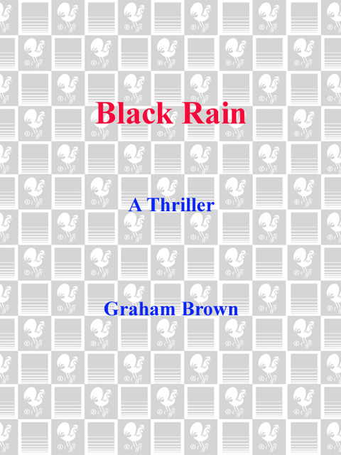 Cover image for book Black Rain