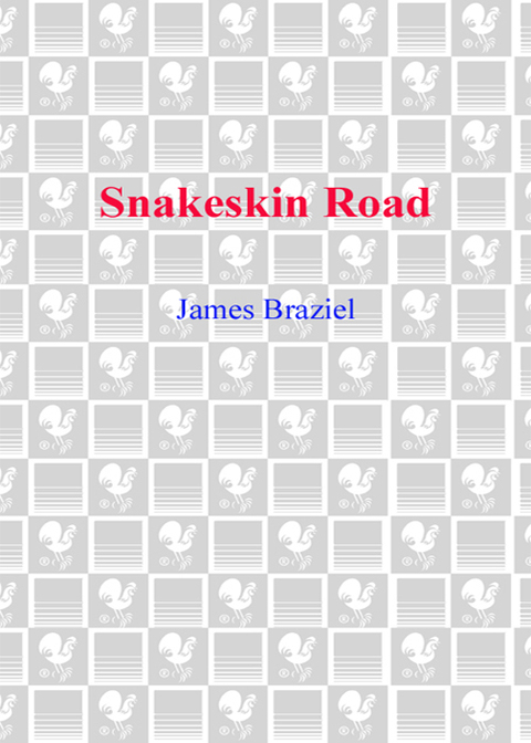 Cover image for book Snakeskin Road
