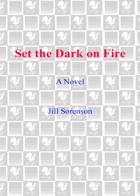 Cover image for book Set the Dark on Fire
