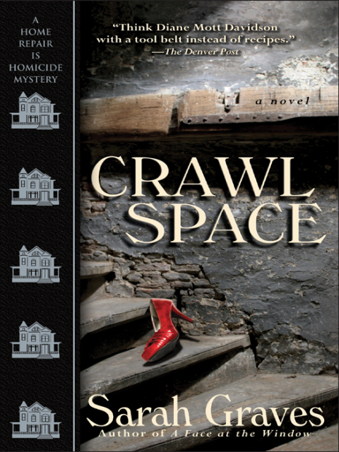 Cover image for book Crawlspace