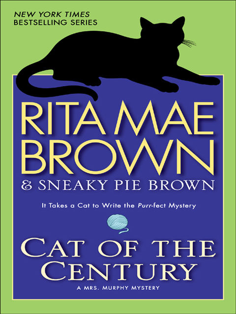 Cover image for book Cat of the Century