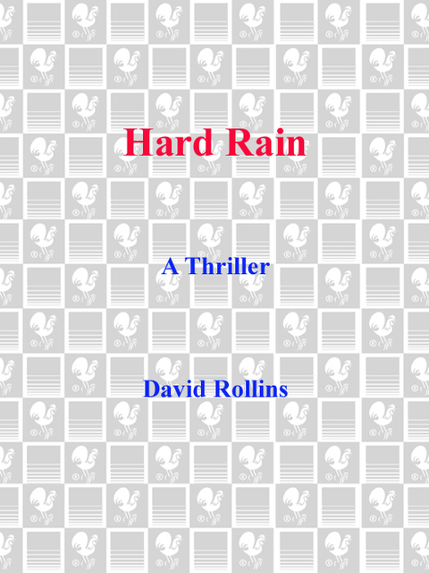 Cover image for book Hard Rain