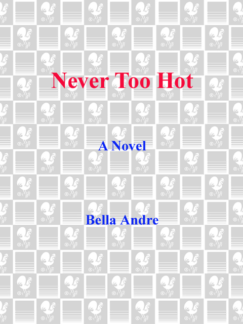 Cover image for book Never Too Hot