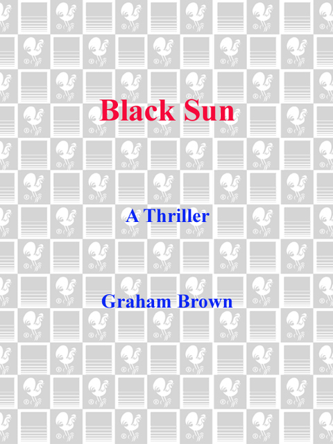 Cover image for book Black Sun