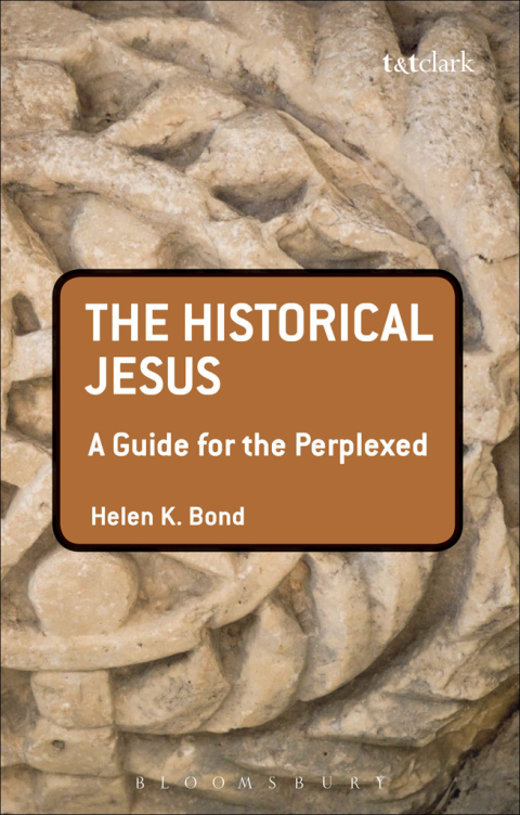 Cover image for book The Historical Jesus: A Guide for the Perplexed