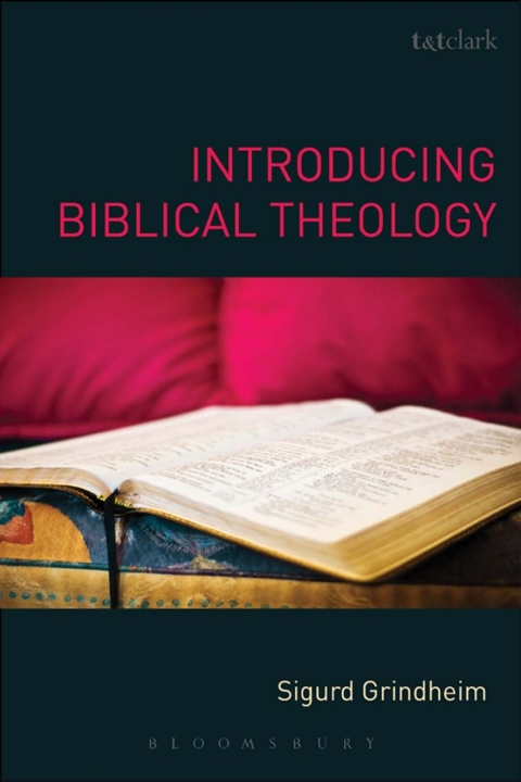 Cover image for book Introducing Biblical Theology