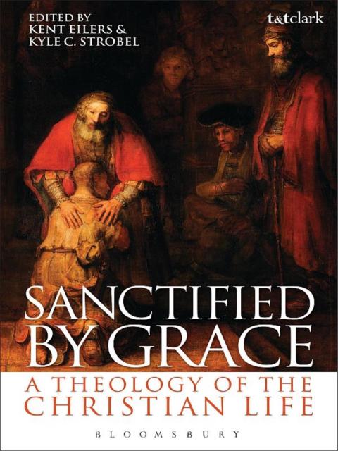 Cover image for book Sanctified by Grace
