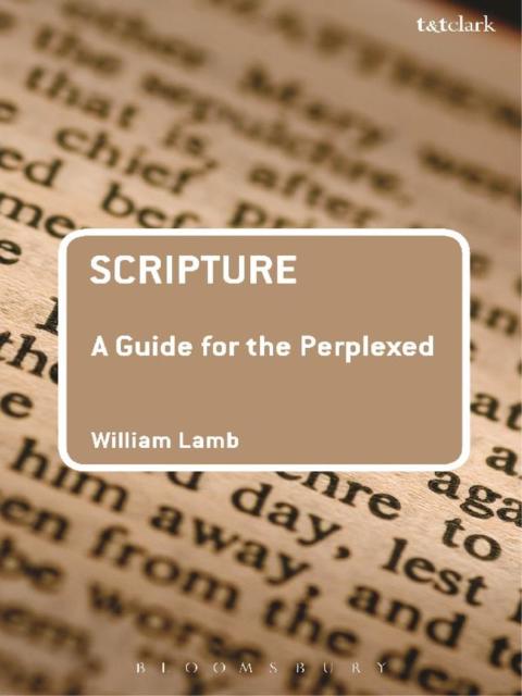 Cover image for book Scripture: A Guide for the Perplexed