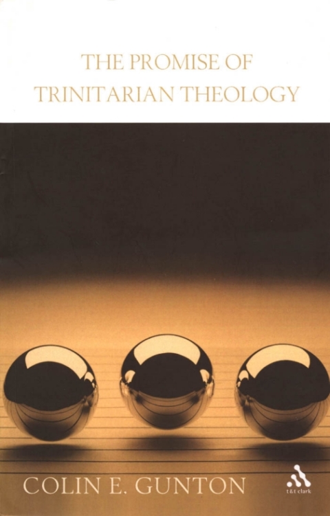The Promise of Trinitarian Theology 
