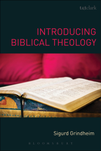 Omslagafbeelding: Introducing Biblical Theology 1st edition 9780567456878