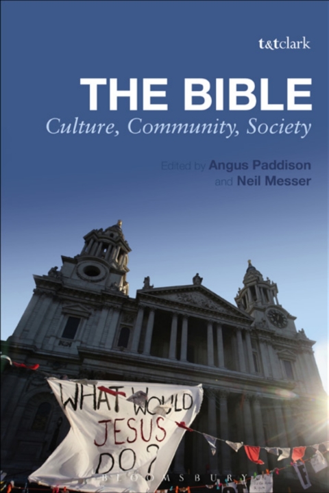Cover image for book The Bible: Culture, Community, Society