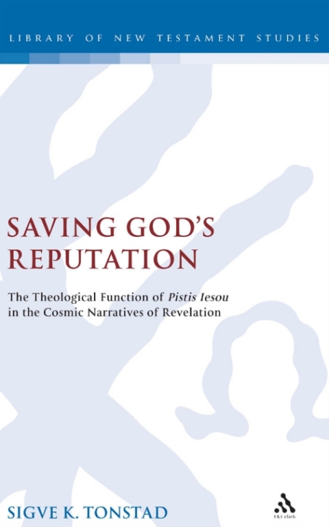 Cover image for book Saving God's Reputation