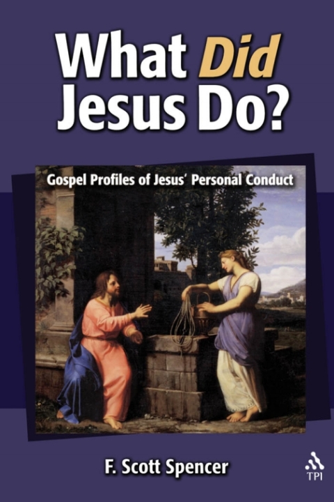 Cover image for book What Did Jesus Do?
