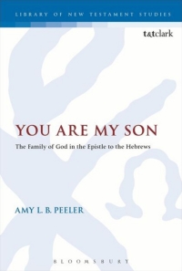 Omslagafbeelding: You Are My Son 1st edition 9780567665010