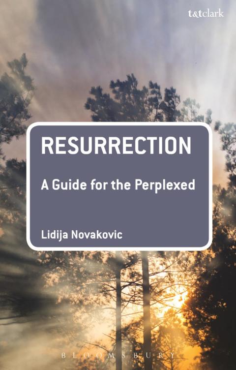 Cover image for book Resurrection: A Guide for the Perplexed