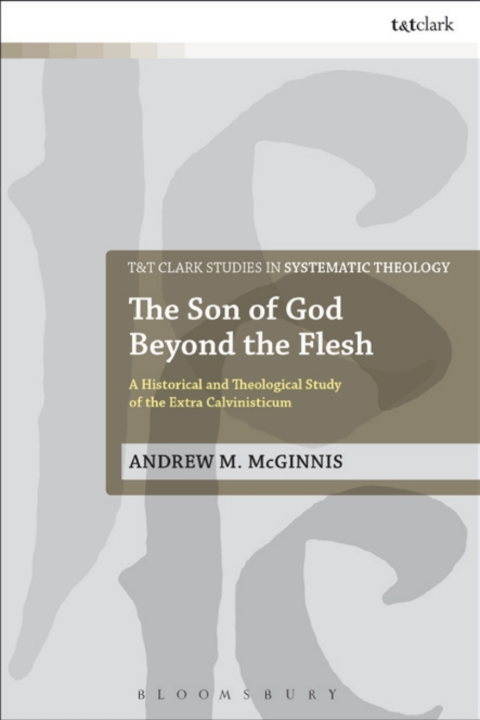 Cover image for book The Son of God Beyond the Flesh
