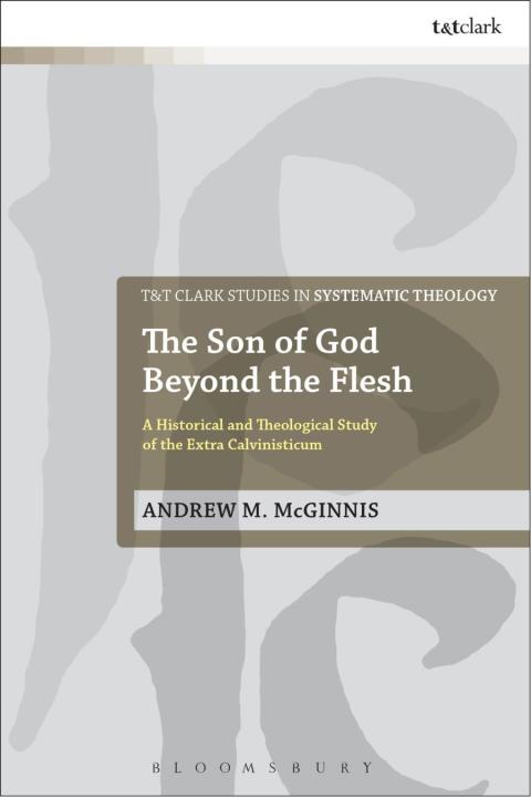 Cover image for book The Son of God Beyond the Flesh