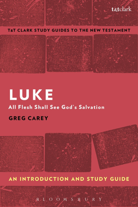 Cover image for book Luke: An Introduction and Study Guide