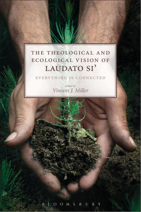 Cover image for book The Theological and Ecological Vision of Laudato Si'
