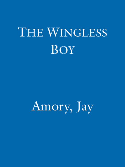Cover image for book The Wingless Boy