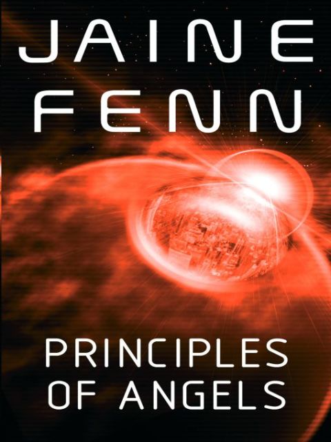 Cover image for book Principles of Angels