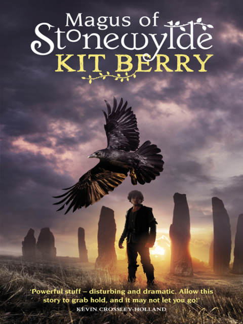 Cover image for book Magus of Stonewylde