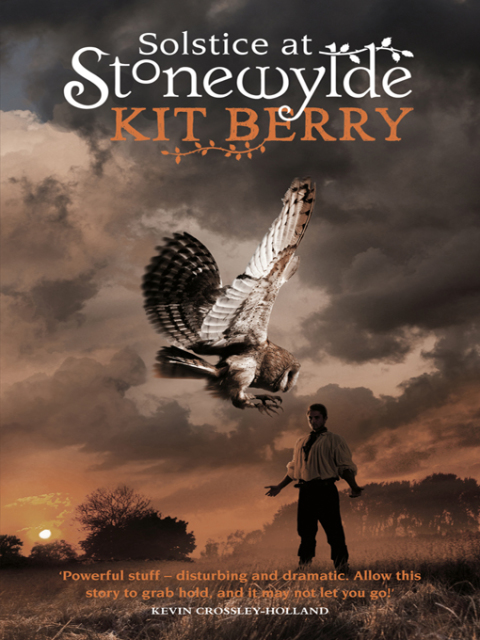 Cover image for book Solstice at Stonewylde