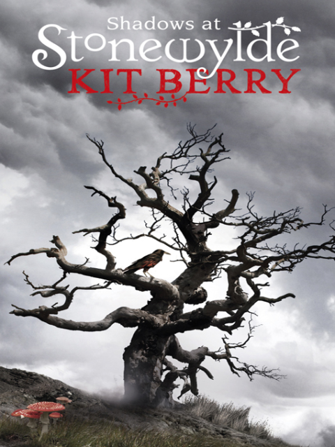 Cover image for book Shadows at Stonewylde