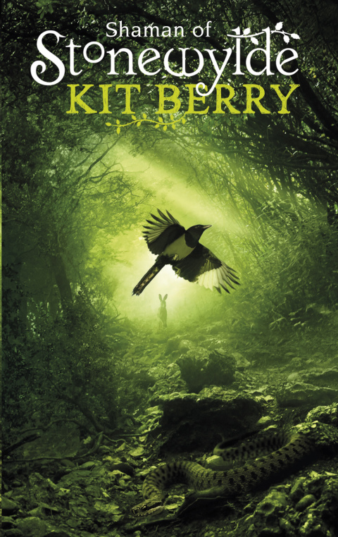 Cover image for book Shaman of Stonewylde
