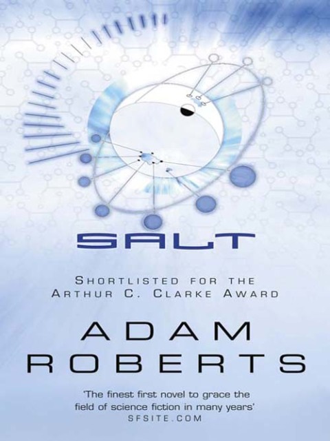 Cover image for book Salt