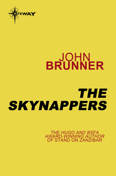 Cover image for book The Skynappers