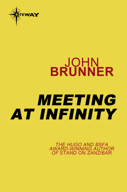 Cover image for book Meeting at Infinity