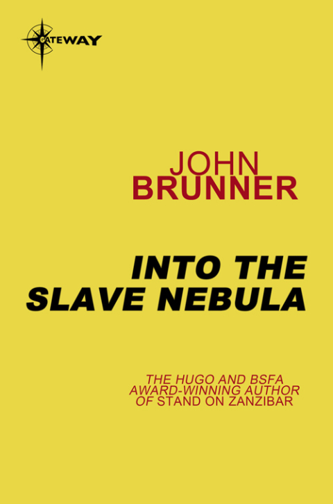 Cover image for book Into the Slave Nebula