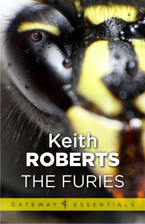 Cover image for book The Furies