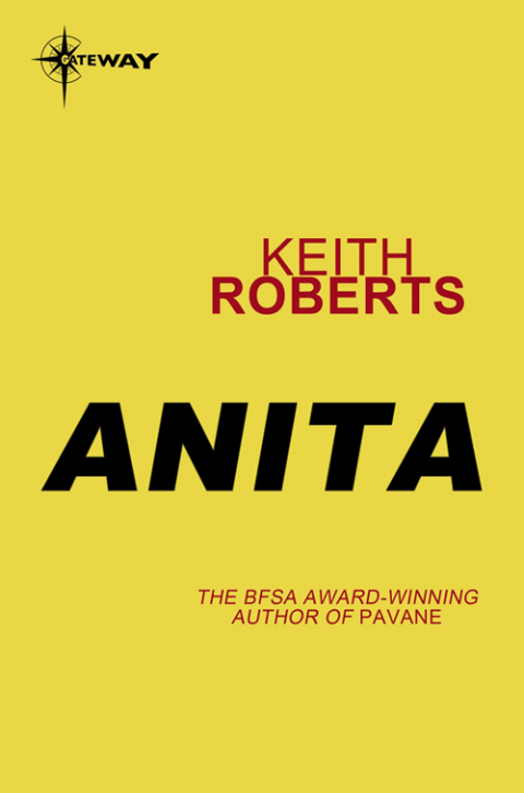 Cover image for book Anita